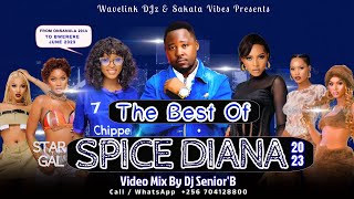 The Best Of SPICE DIANA Video Mix - Dj SeniorB [All Spice Diana Popular Music Videos Hits]