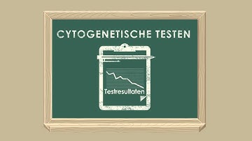 CML Patient Video: What you need to know about testing and monitoring (Dutch)