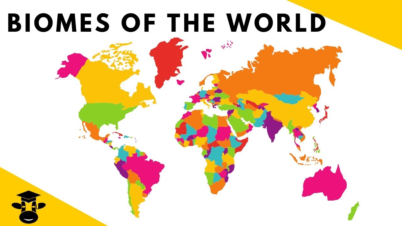 Biomes of World-(Desert-Rainforest-Taiga-Deciduous Forest-Grasslands-Savanna-Tundra)