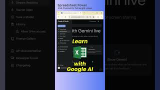 Learn Excel with Google AI Studio