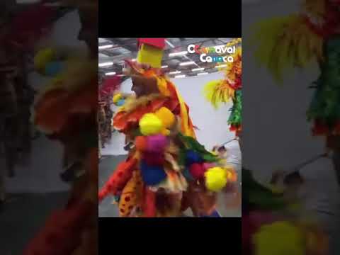 Bastidores do Carnaval: