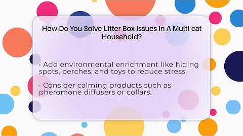 How Do You Solve Litter Box Issues In A Multi-cat Household? - Happy Cat Handbook