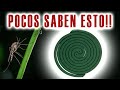 El Mejor Insecticida y Repelente Casero para Mosquitos, Moscas y Hormigas ¡¡FUNCIONA!!