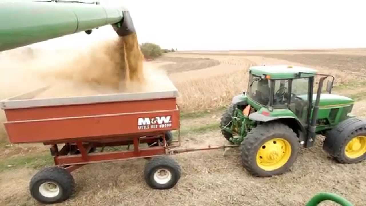 Soybean Harvesting YouTube