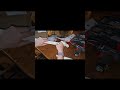 Track Lighting, Plug In, Quick &amp; Easy Installation