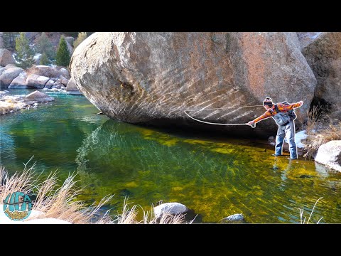 Fly Fishing with the MOST EFFECTIVE STREAMER PATTERN!? || TIE AND CATCH EP. 1