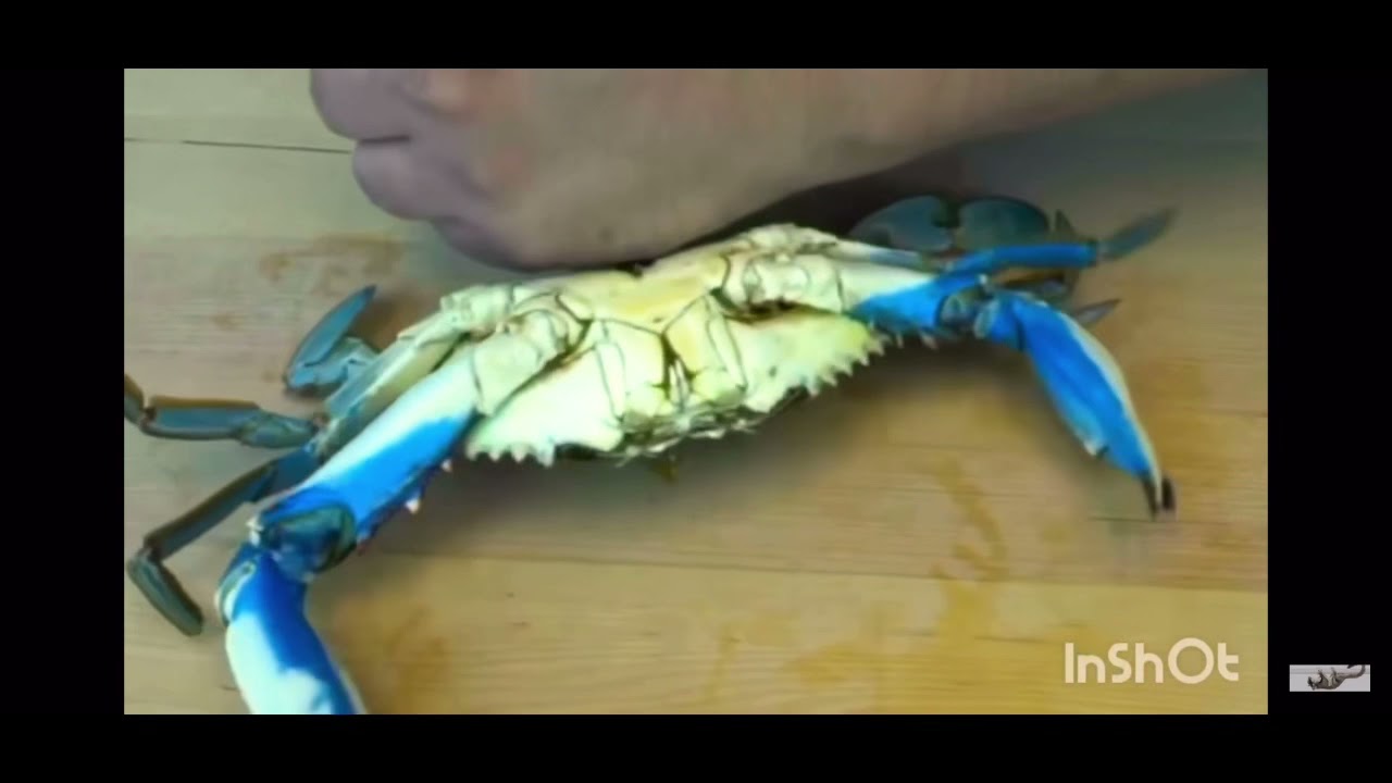 Are ya feeling it now mr. krabs?