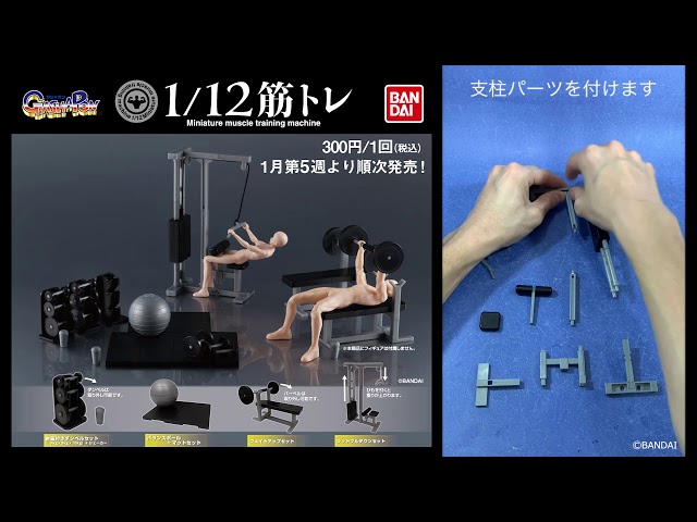 1/12筋トレ 組み立て動画 - YouTube