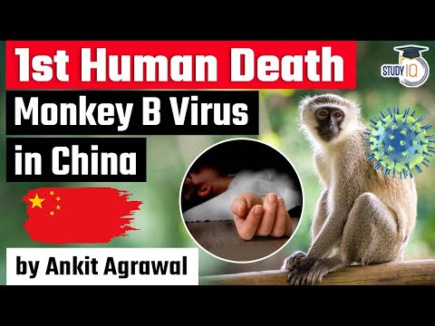 Monkey B Virus led first human death reported in China - Is Monkey B deadlier than Coronavirus?