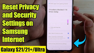Galaxy S21/Ultra/Plus: How to Reset Privacy and Security Settings on Samsung Internet