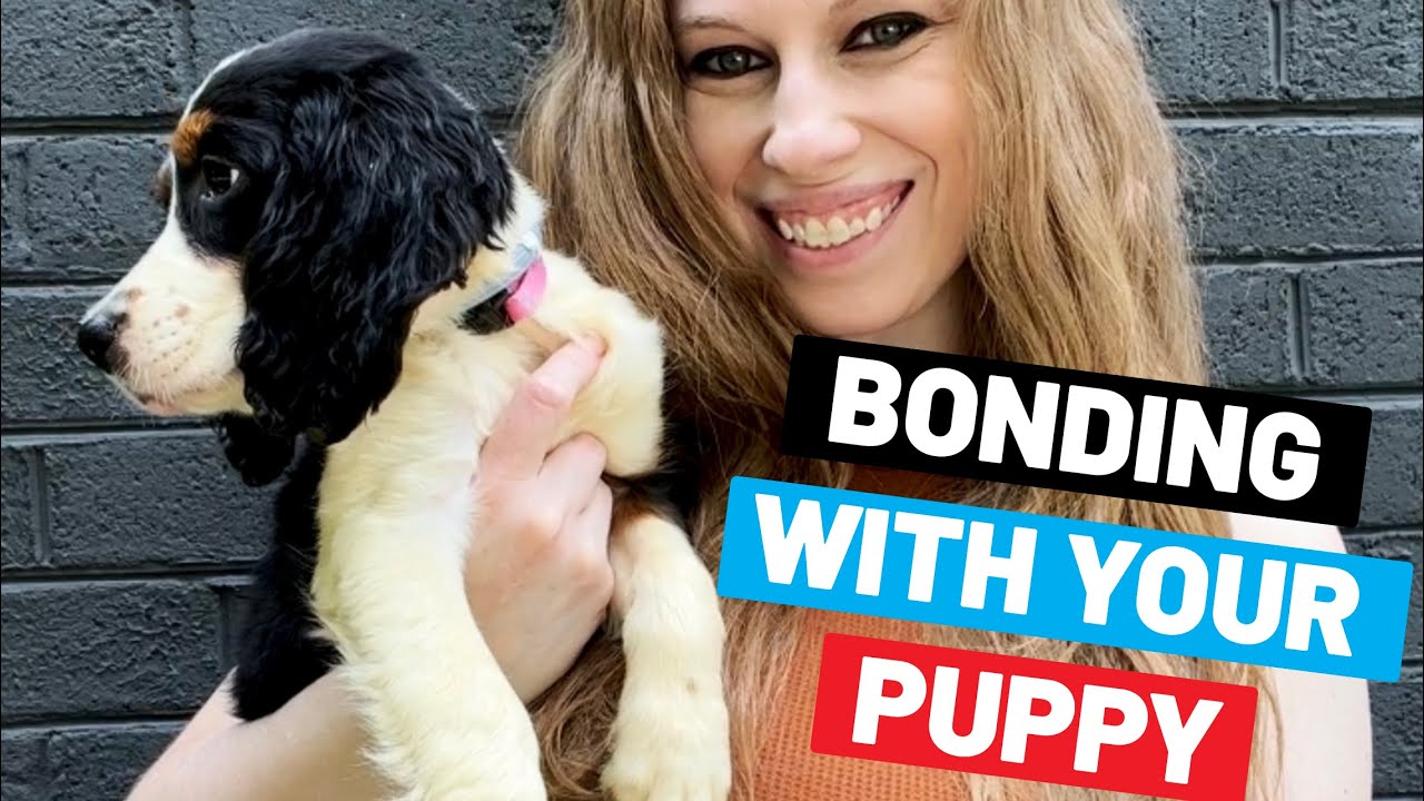 How To Bond With Your Puppy (6 Tips) - YouTube