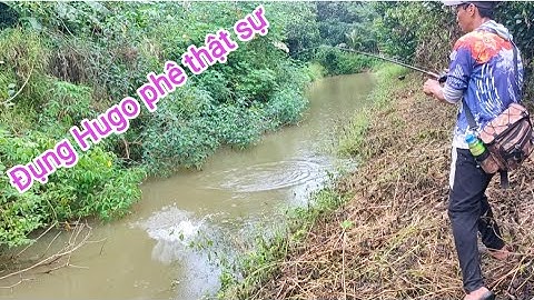 Câu cá lóc_Thời tiết xấu nhưng lên hàng cực kỳ phê @Hữunghị tv