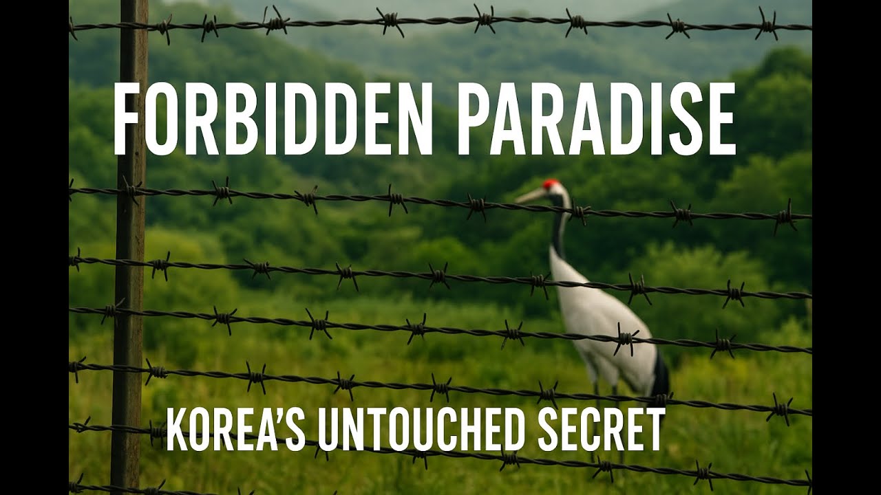 The Korean DMZ: Beyond the Conflict – A Surprising Ecosystem of Peace