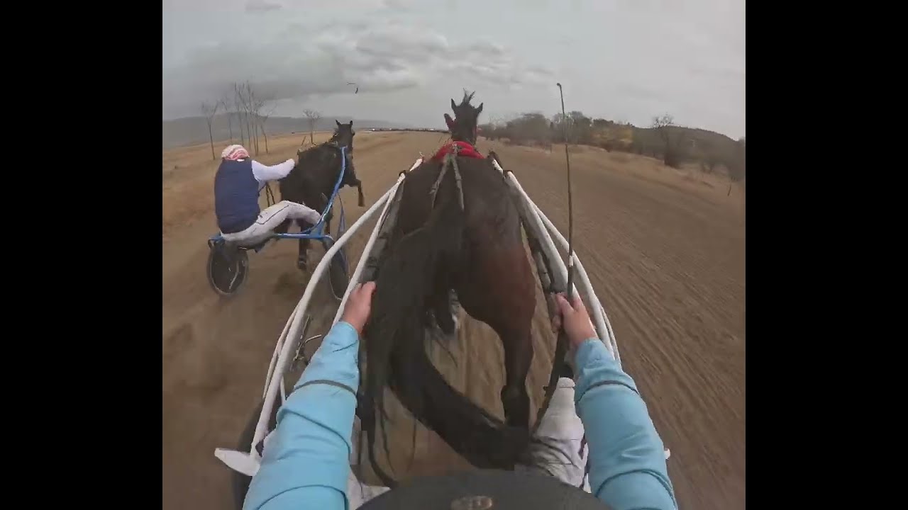 Състезание с двуколки 1600м френска гара Le Trot