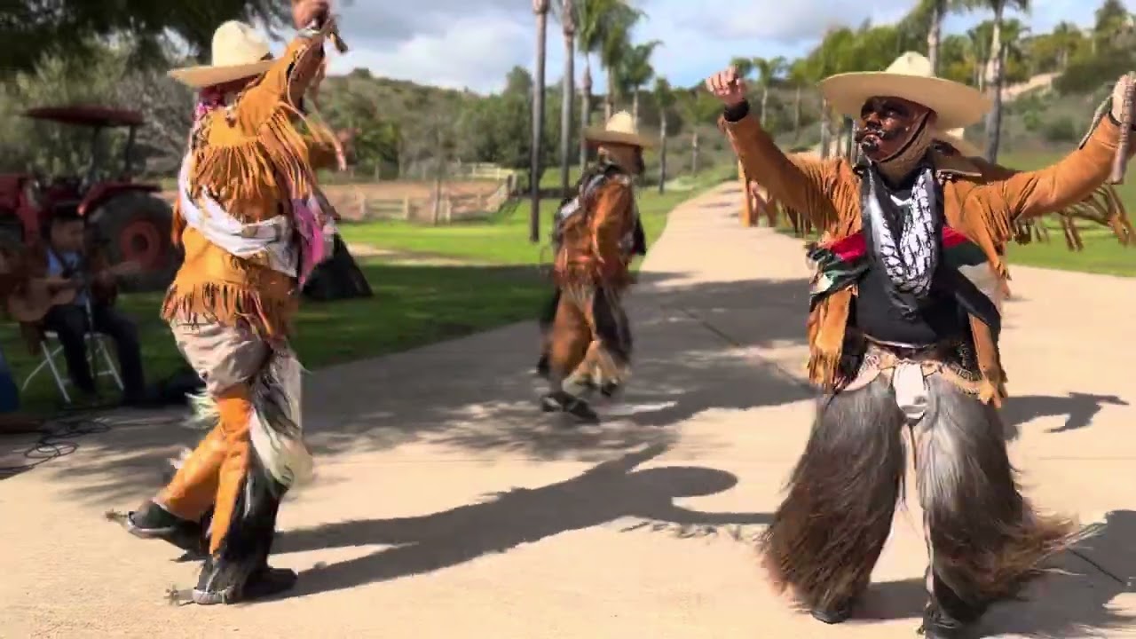 Danza De Los Rubios Grupo Alegre