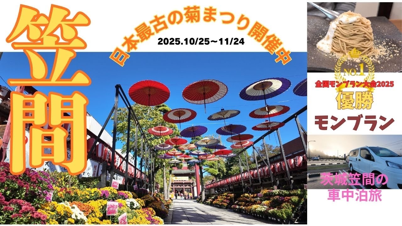 笠間菊まつり速報！（2025/10/27）。日本一のモンブランに出会いました。