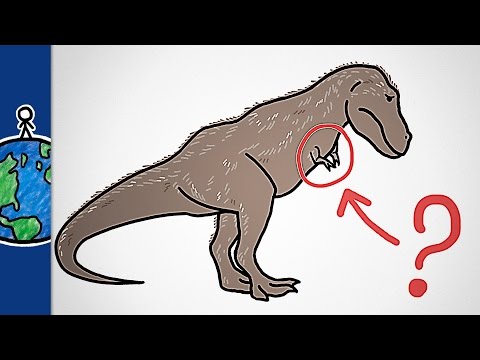 Why Did T Rex Have Such Tiny Arms?