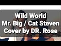 Mr. Big Wild World Acoustic Song Cover || by DR. Rose