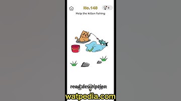 BRAIN OUT Level 148 HELP THE KITTEN FISHING