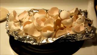 Should I Use Egg Shells in the Garden?