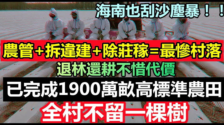 下令全村不留一棵树，第一季度已完成高标准农田1900万亩，不惜代价种粮食|退林还耕一发不可收拾，好好的庄稼被挖平|村民人心惶惶，农村最后一片净土沦陷|#退林还耕#农管 - 天天要闻