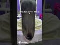Rawatan Rambut Sehat Selepas Rebonding: Kembalikan Rambut Indahmu Rawatan Rambut Sehat Selepas Rebonding: Kembalikan Rambut Indahmu