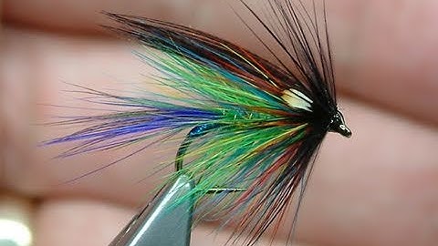 Tying the Spectrum Dabbler by Davie McPhail