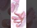 【プチプラセルフネイル】 リボンもふもふネイル~🎀🤍やり方動画もあげてます🌟