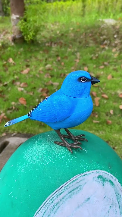Kibtoy Blue Bird toy simulation electric singing bird can call and move
