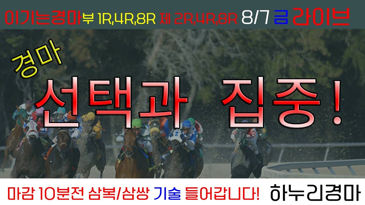 8/7(금) 야간경마는 하누리! 경마 선택과 집중! 이기는 경마! 관건은 임팩트!! 경주별 삼복/삼쌍 기술 들어갑니다!!