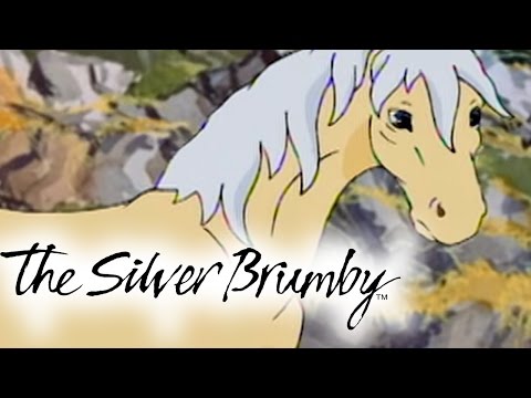 The Silver Brumby | Episodes 6-10 2 HOUR COMPILATION (HD - Full Episode)