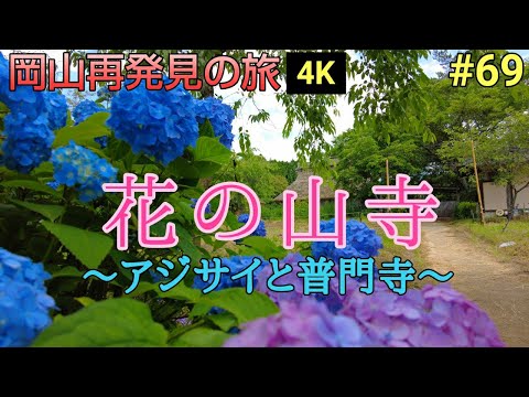 岡山再発見の旅 花の山寺 普門寺 咲き誇るアジサイと茅葺き屋根のコラボは一見の価値あり Youtube