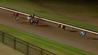 WBL THU 17 JAN 19 R12