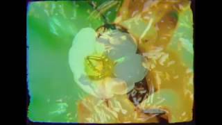 Boards of Canada - Telephasic Workshop