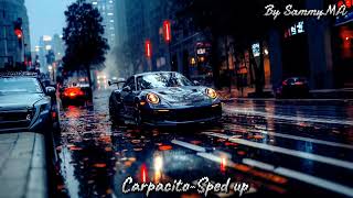 Carpacito-Sped up / Despacito by cars