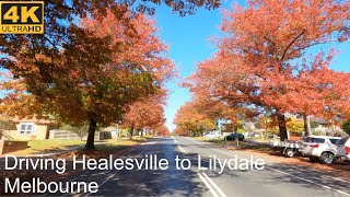 Driving Healesville To Lilydale | Melbourne Australia | 4K UHD