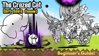 How to Beat The Crazed Cat, No Gacha or Eraser needed! | Battle Cats Dark Souls (Insane) screenshot 4