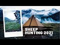 Sheep Hunting 2021