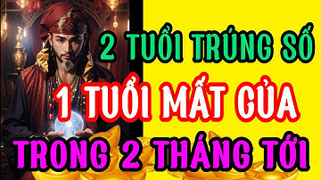 Tử Vi Hàng Ngày, Thần tài gõ cửa: 2 con giáp trúng số đổi đời, 1 con giáp gặp hạn hao tiền tốn của!