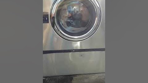 Dexter triple load washer