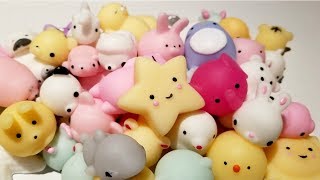 Mochi Squishy Symphony Squishies Stress Relief Collection