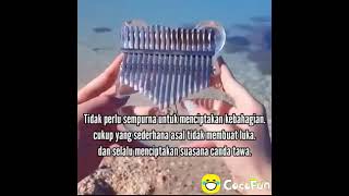 Ayub thaf story wa 30 sec.  sound terharu