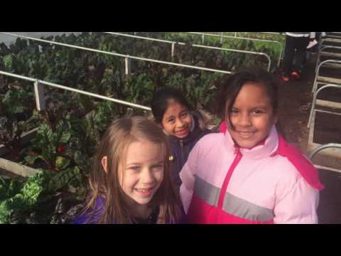 Moriarty Elementary School 2016 Promotional Video