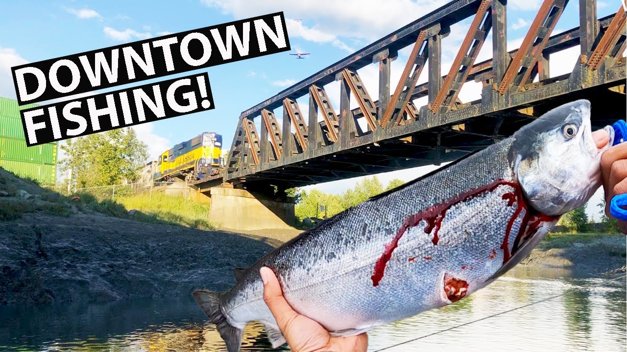 Fishing in Anchorage ALASKA [Ship Creek] YouTube