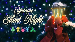 Cynosure - Silent Night (Instrumental Piano Hymn Of Christmas)💖🎄🎄🎄