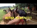 UM DIA DE LEITEIRO||ROTINA DO MATUTO *ADB*