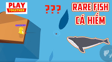 Play together | CÂU CÁ HIẾM / săn CÁ VOI RÂU TRẮNG  / BLUE WHALE