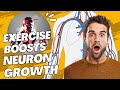 How Exercise Boosts Neuron Growth: MIT's Groundbreaking Research Revealed