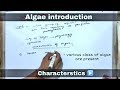 Introduction of algae , general overview on algae ll biology ll