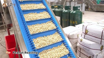 Fully Automatic Nut Roasting Machine, Peanut Cashew Nut Roaster